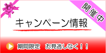 三宝　キャンペーン情報